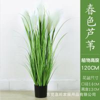XU0613058